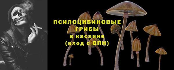 прущий лед Белокуриха