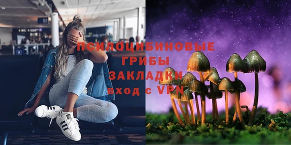 прущий лед Белокуриха